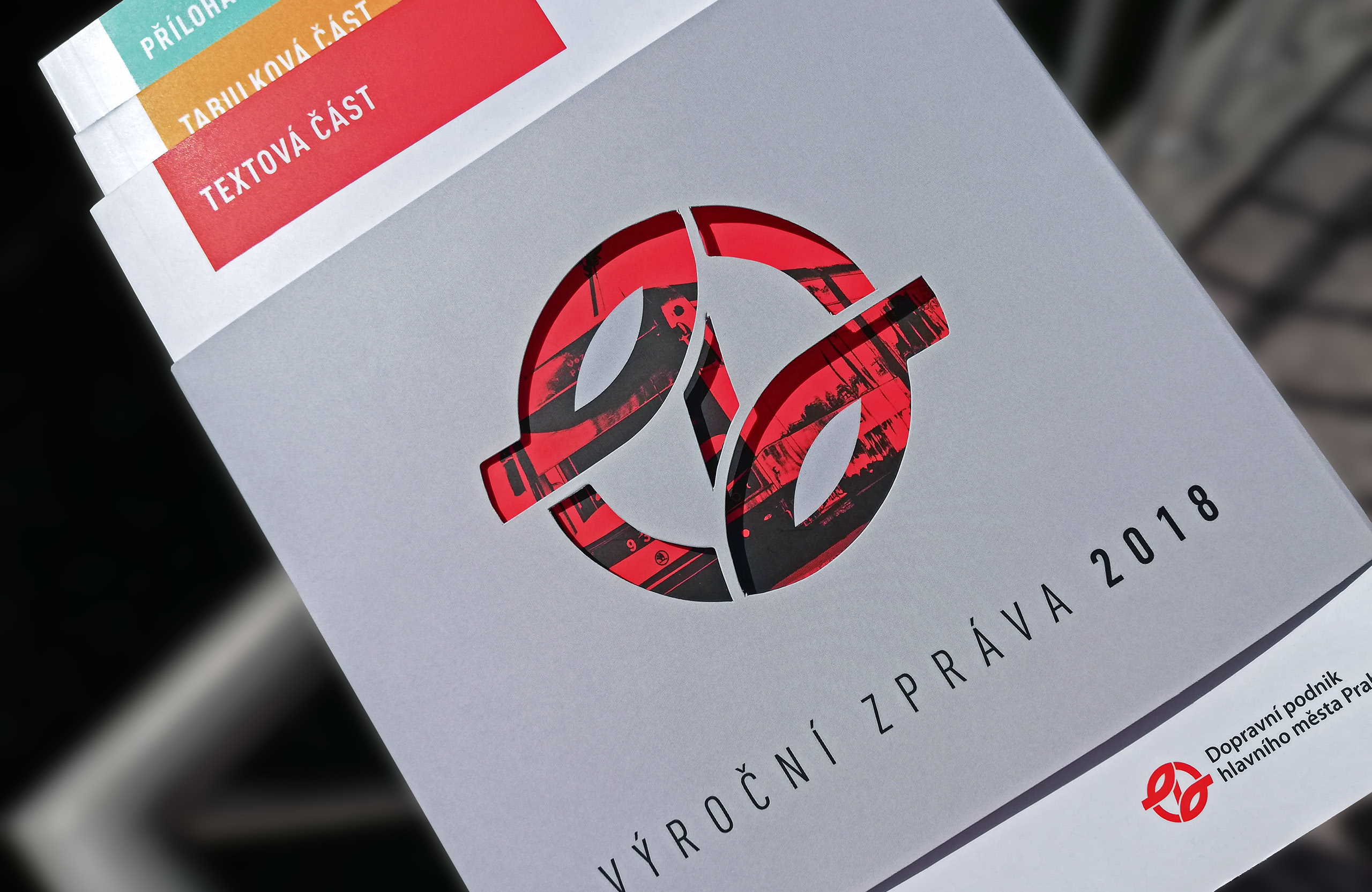 VZ-2018_portfolio