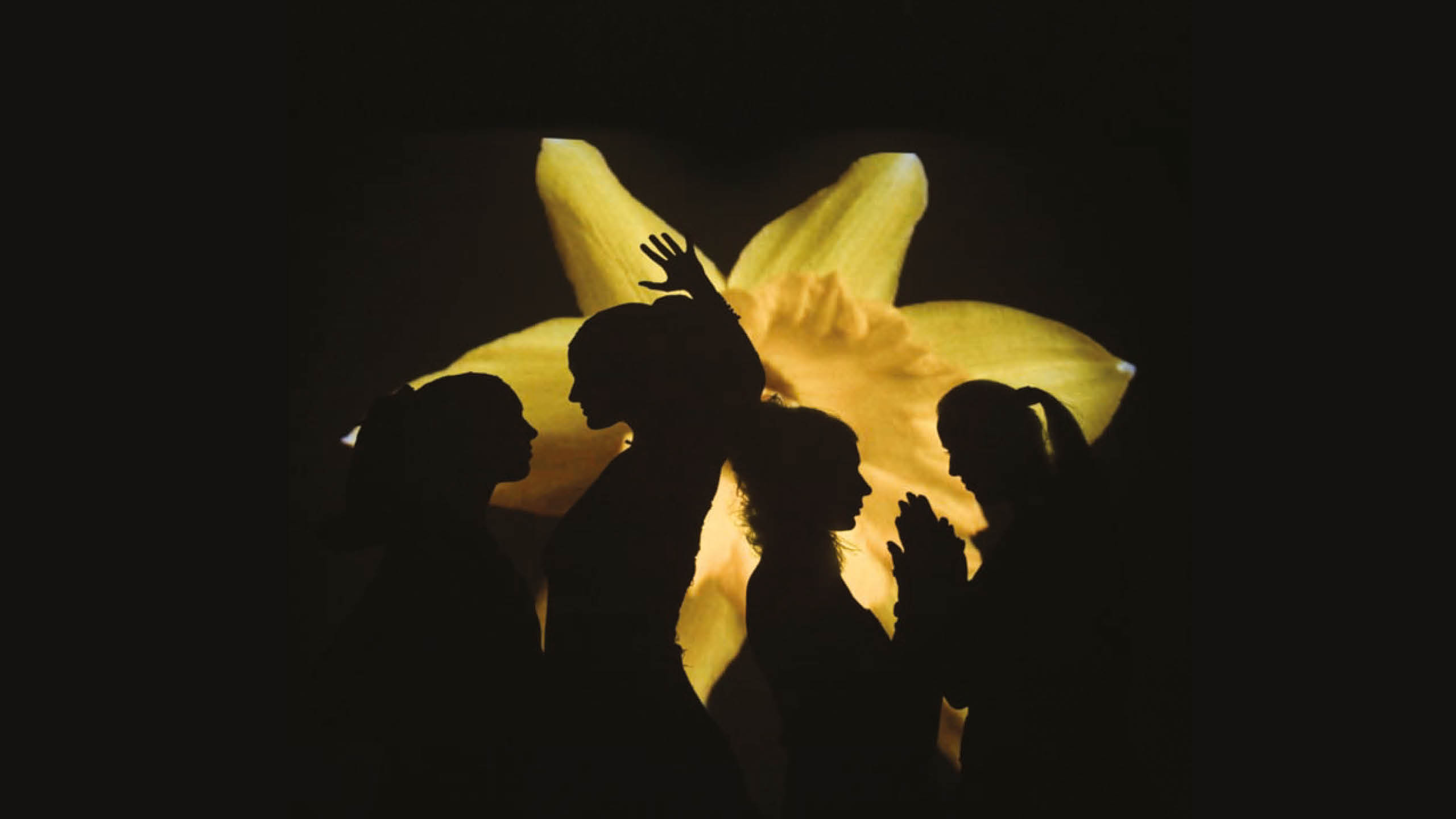 Yellow-Sisters_Tubab-woman